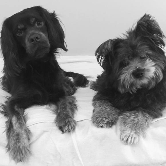 Buy my stuff!! 🤣😂 - Picture 3 of 4